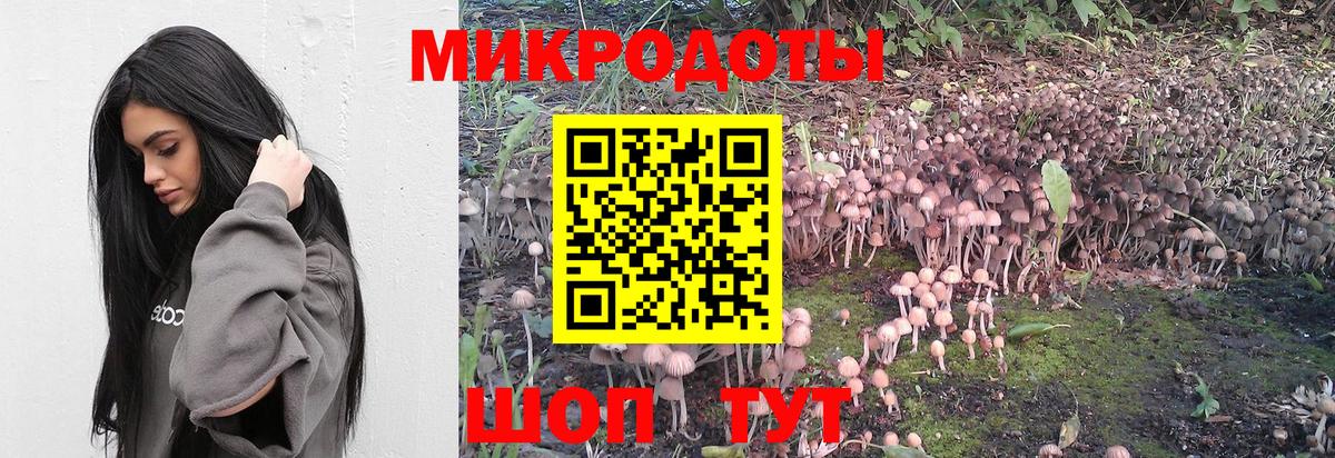 Таганрог  Галлюциногенные грибы Cubensis  Вход с VPN  Галлюциногенные грибы Psilocybine cubensis 