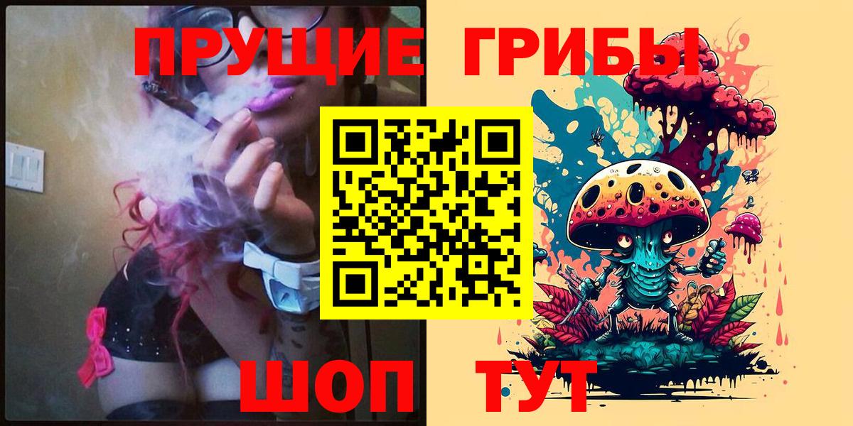 Галлюциногенные грибы Psilocybe Таганрог