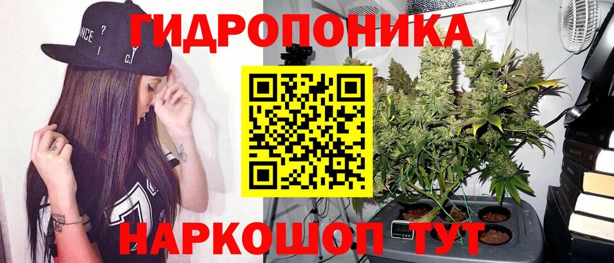 Таганрог  МАРИХУАНА семена  Бошки Шишки семена  Вход с VPN  Каннабис Ganja 